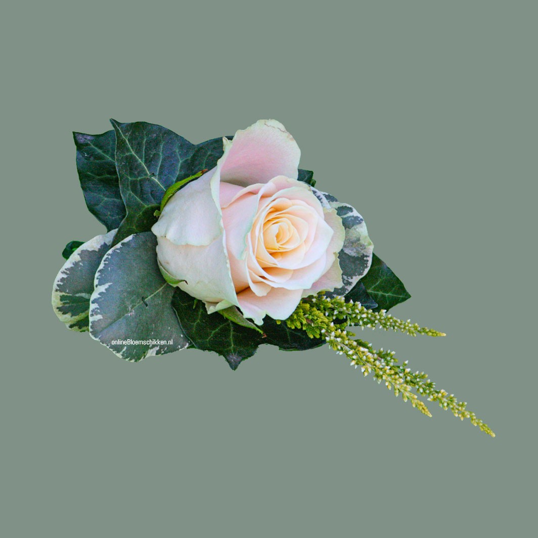 VO-021 | Herencorsage wordt Haarcorsage