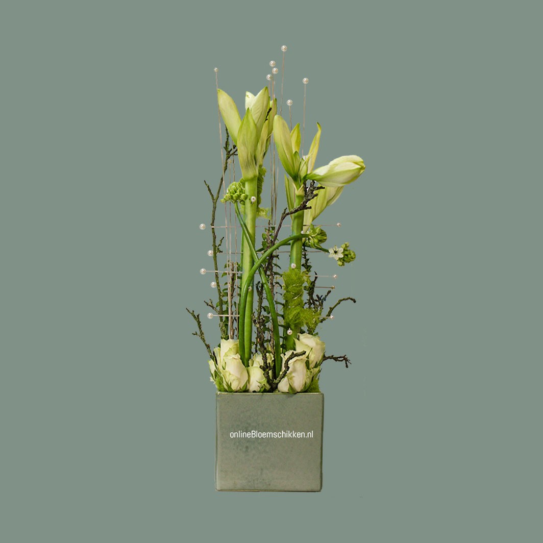 IB-050 | Amaryllis arrangement