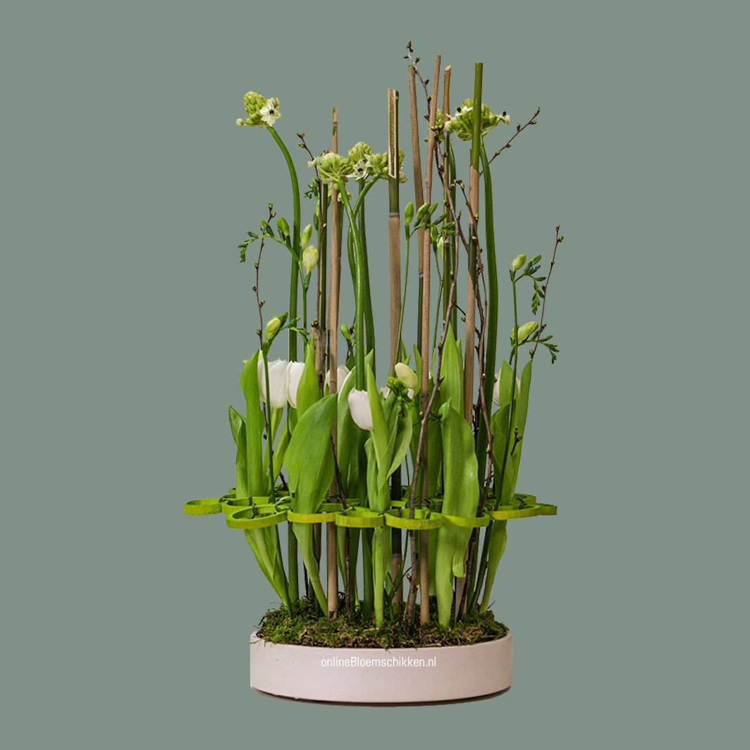 IB-042 | Schaalarrangement - met tulpen en ringen