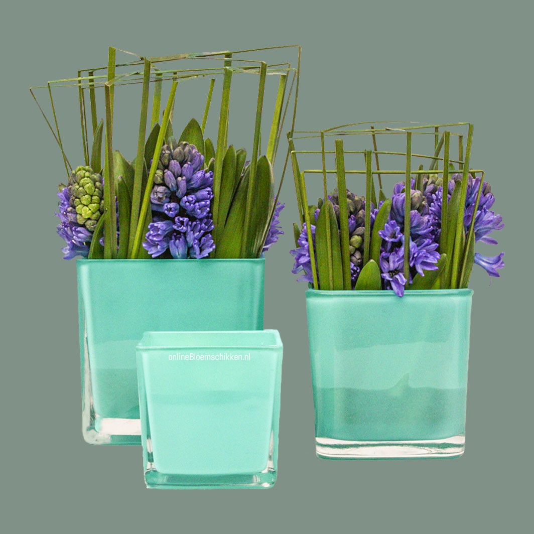 IB-054 | Hyacinthen met steelgrass