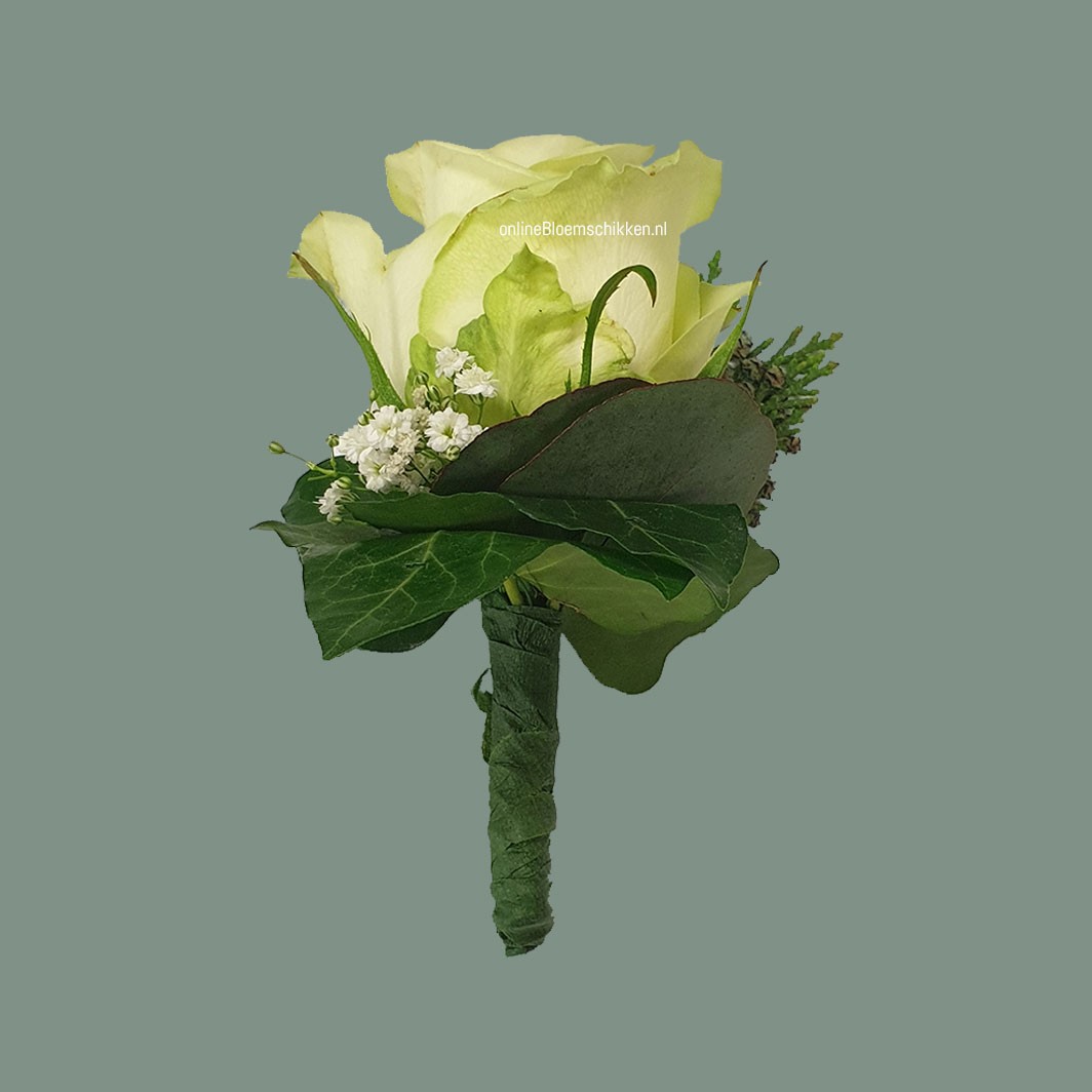 BG-010 | Gastencorsage